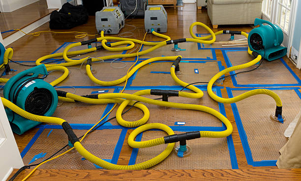 Professional Crawl Space Water Removal technician working in Lewiston, UT